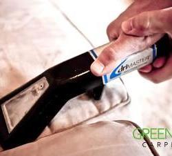 Greenworks Carpet Care