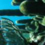 Utila Fun Utila Fun