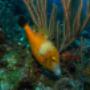 Uploaded by visitor on 3/29/2017 Uploaded by visitor on 3/29/2017