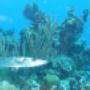 Uploaded by visitor on 3/29/2017 Uploaded by visitor on 3/29/2017