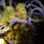 Uploaded by visitor on 3/29/2017 Uploaded by visitor on 3/29/2017