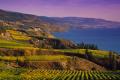 Penticton Please Your Pallet Tour