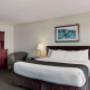 Guest room with king bed(s) Guest room with king bed(s)