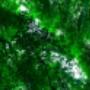 Uploaded by visitor on 5/22/2016 Uploaded by visitor on 5/22/2016