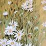 Uploaded by visitor on 7/27/2015 Uploaded by visitor on 7/27/2015