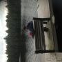 Uploaded by visitor on 12/7/2015 Uploaded by visitor on 12/7/2015