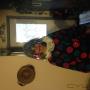 Uploaded by visitor on 12/7/2015 Uploaded by visitor on 12/7/2015