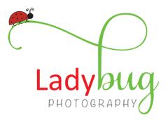 Ladybug Photography