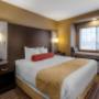 King Sofabed Room King Sofabed Room