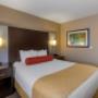 King Bed Room King Bed Room