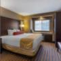King Bed Jr Suite King Bed Jr Suite