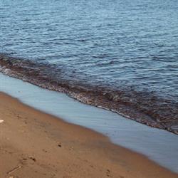 Wild Rose RV Park - Seasonal RV Park