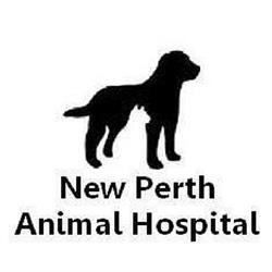 New Perth Animal Hospital