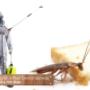 Pest-Control-Newmarket Pest-Control-Newmarket