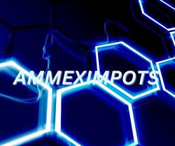 AMMEX IMPOTS INC