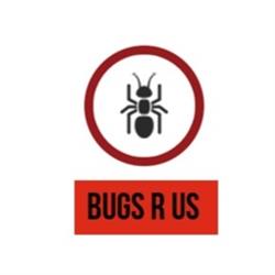 Bugs R Us