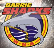 Barrie Women's Hockey Association