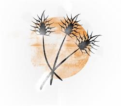 Grassland Massage @ The Powers & Jans Centre