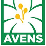 Avens Seniors