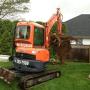 Tree Removal Tree Removal