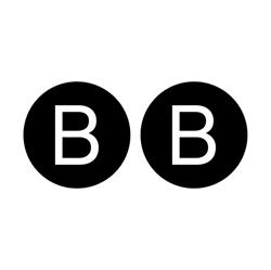 BB immigration Inc