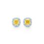 Fancy Yellow Diamonds, Earrings, Fancy Yellow Diamonds, Earrings,