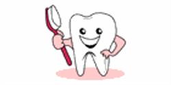 Wilczek Dental Group