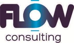 Flow Consulting