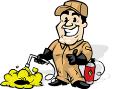 Bed Bug Extermination