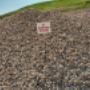 Uploaded by visitor on 8/10/2016 - Large washed rock Uploaded by visitor on 8/10/2016 - Large washed rock