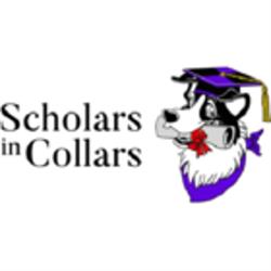 Scholars In Collars Dog Training