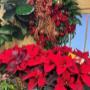 Photo Photo
