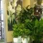 Photo Photo