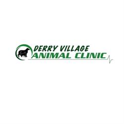 Derry Village Animal Clinic