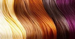 House Of Hair Design