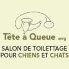 Salon de Toilettage Tête à Queue