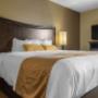 Spacious guest room Spacious guest room