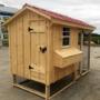 Chicken Coop Chicken Coop