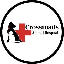 Crossroads Animal Hospital