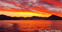 Daybreak Fishing Charters