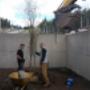 Photo Photo