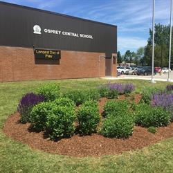 Osprey Central School