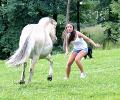 Animal-Attack