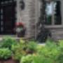 Photo Photo