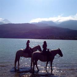 Pemberton Stables
