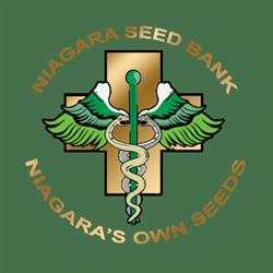 The Niagara Cannabis Seed Bank