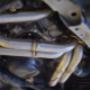 Uploaded by visitor on 9/20/2016 Uploaded by visitor on 9/20/2016