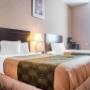 Guest room with double beds Guest room with double beds