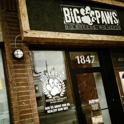 Big Paws Inc