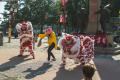 Lion Dance Performance
